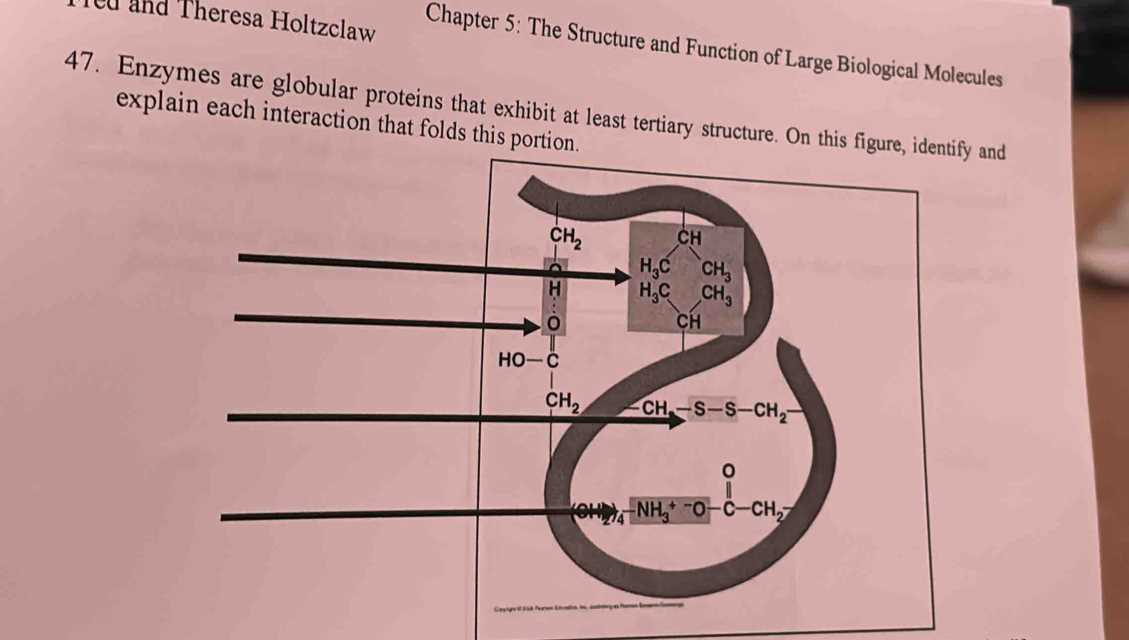 fred and theresa holtzclaw chapter 5 answers