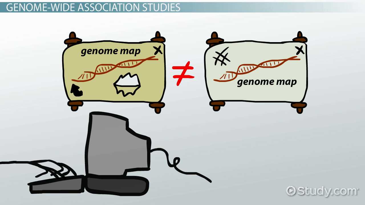 chapter 20 dna tools and biotechnology reading guide answers