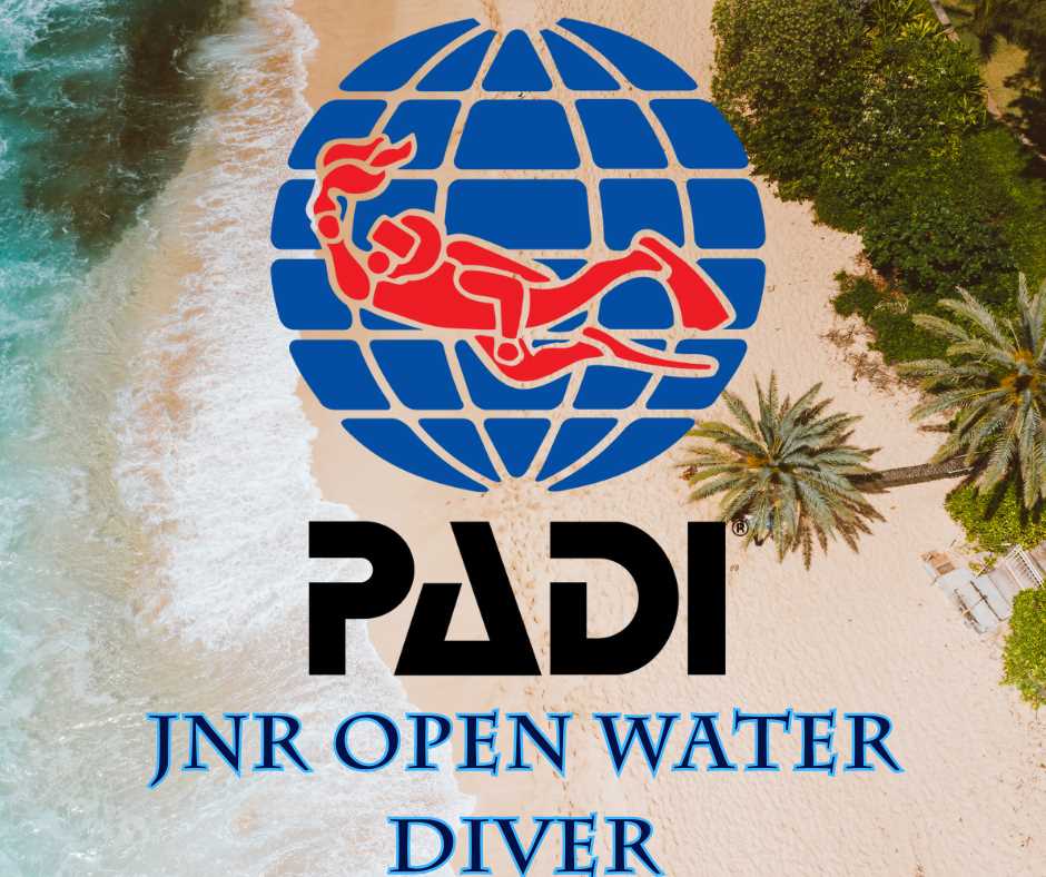 padi open water final exam a answers