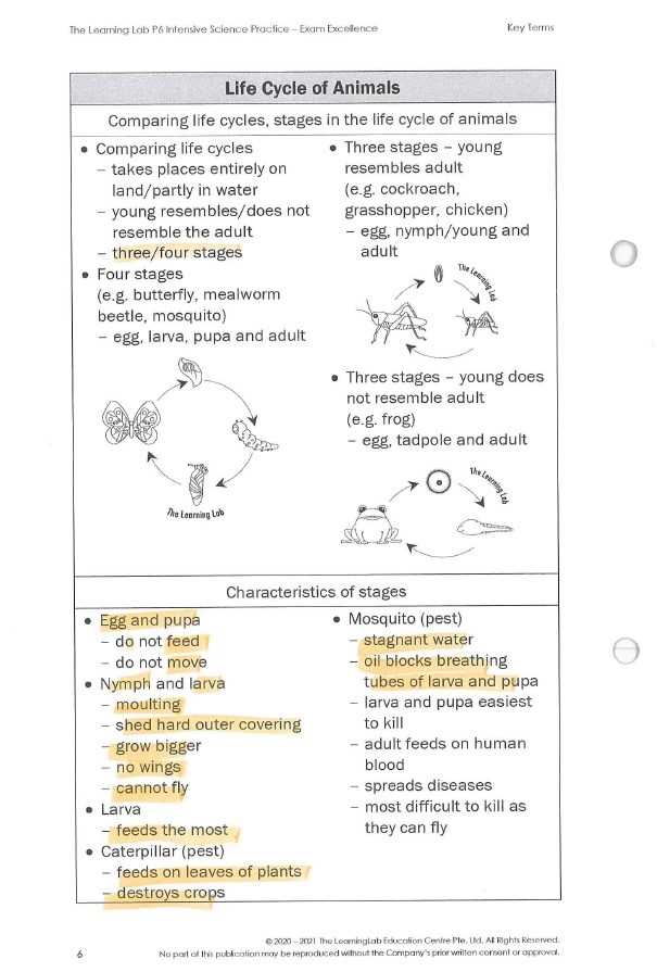 ple platoweb physical science answers