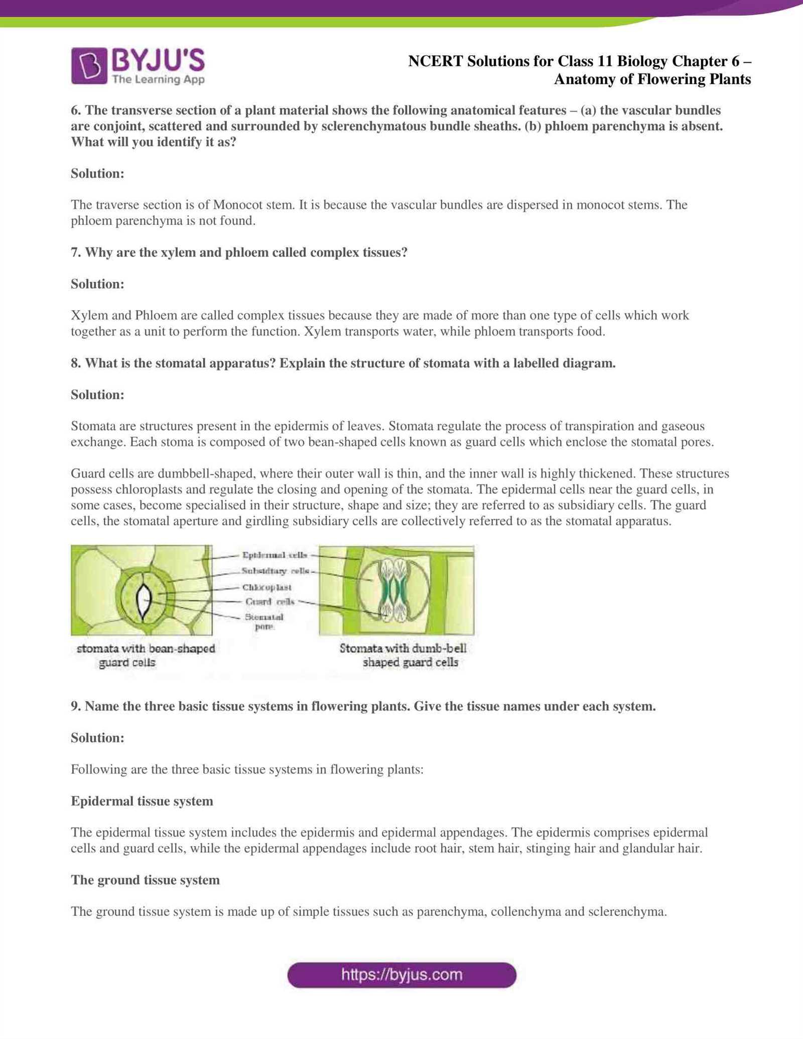 anatomy and physiology chapter 4 study guide answers