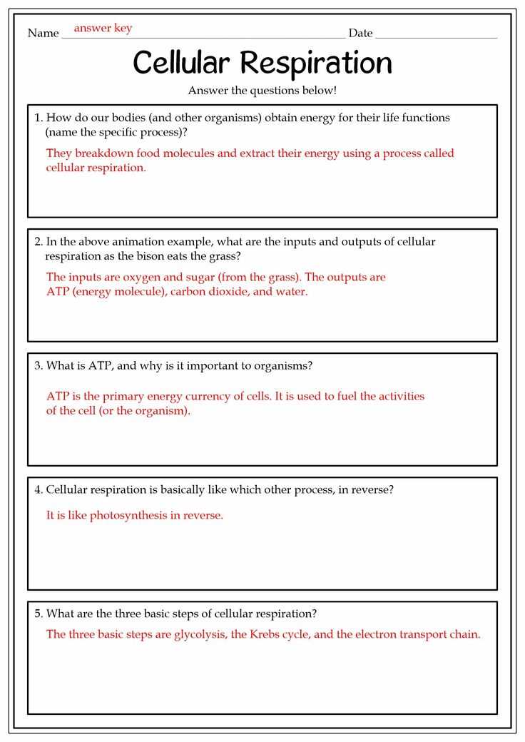 molecules of life worksheet answers