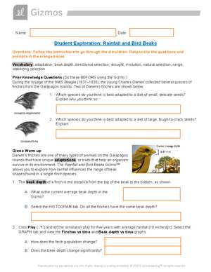 explore learning rainfall and bird beaks answer key