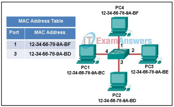 netacad linux essentials exam answers