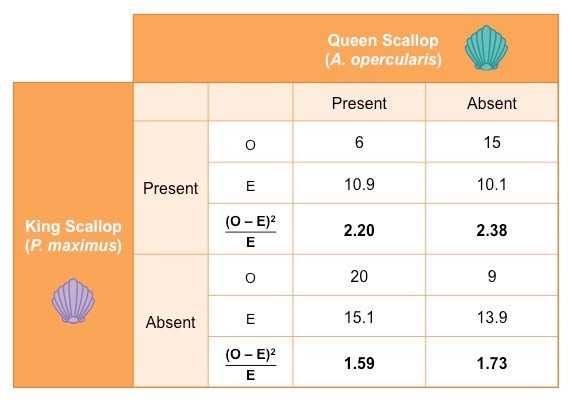 ap biology chi square practice problems answers