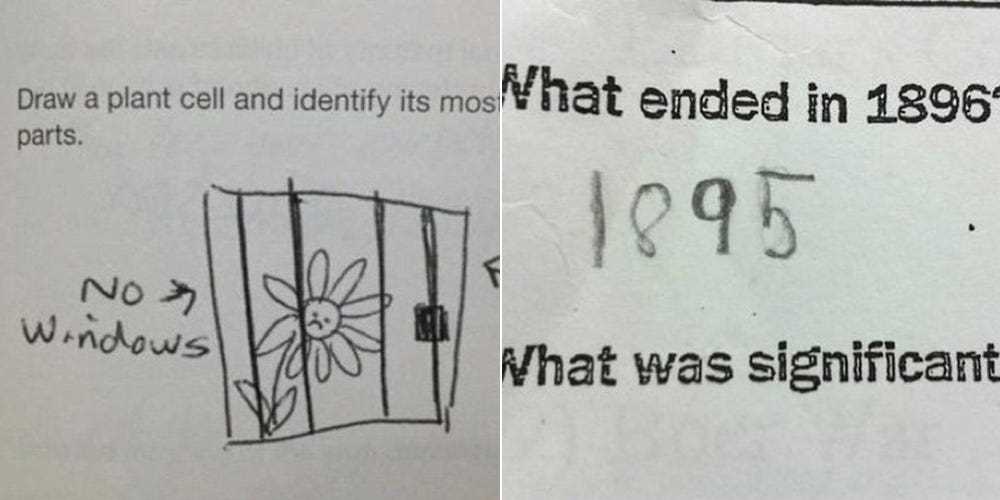 most funniest exam answers