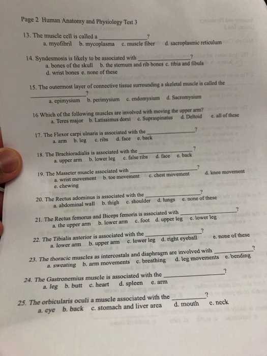 anatomy and physiology exam 3 answers