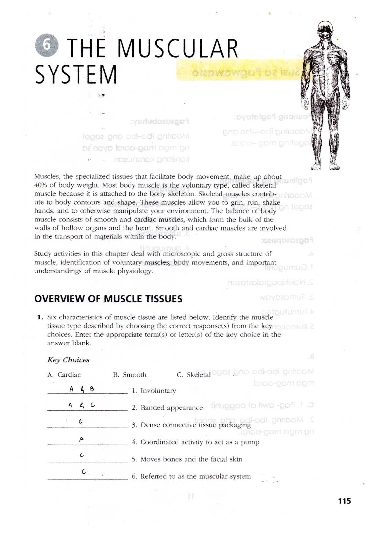 java chapter 6 exercise answers