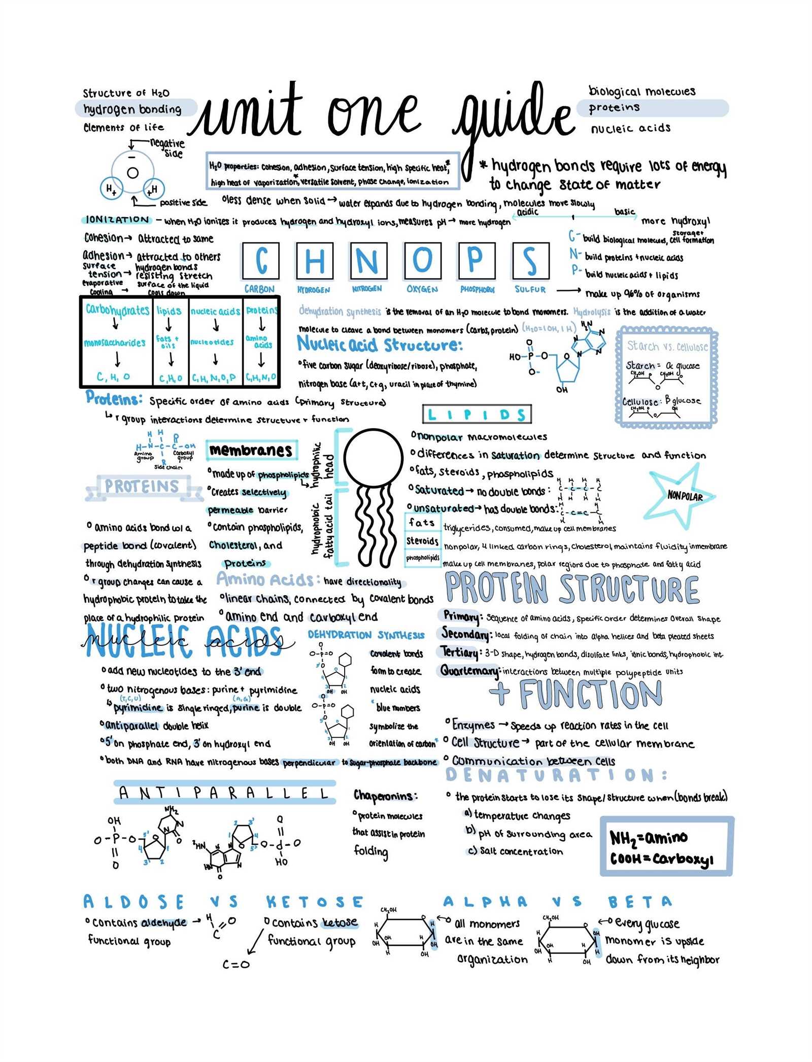 biology chapter 1 review answer key