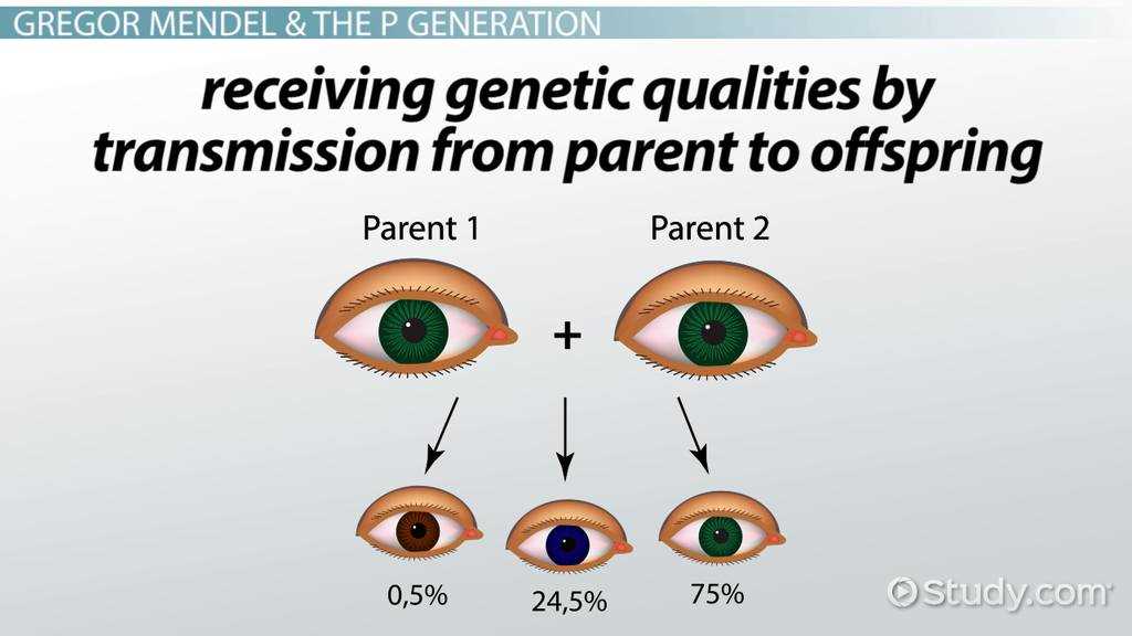 chapter 14 mendel and the gene idea reading guide answer