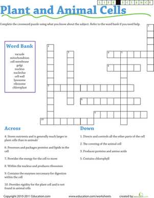 science spot scientific method crossword answers