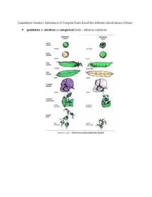 chapter 25 the history of life on earth reading guide answer key