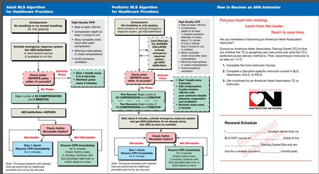 bls written test 2025 answers