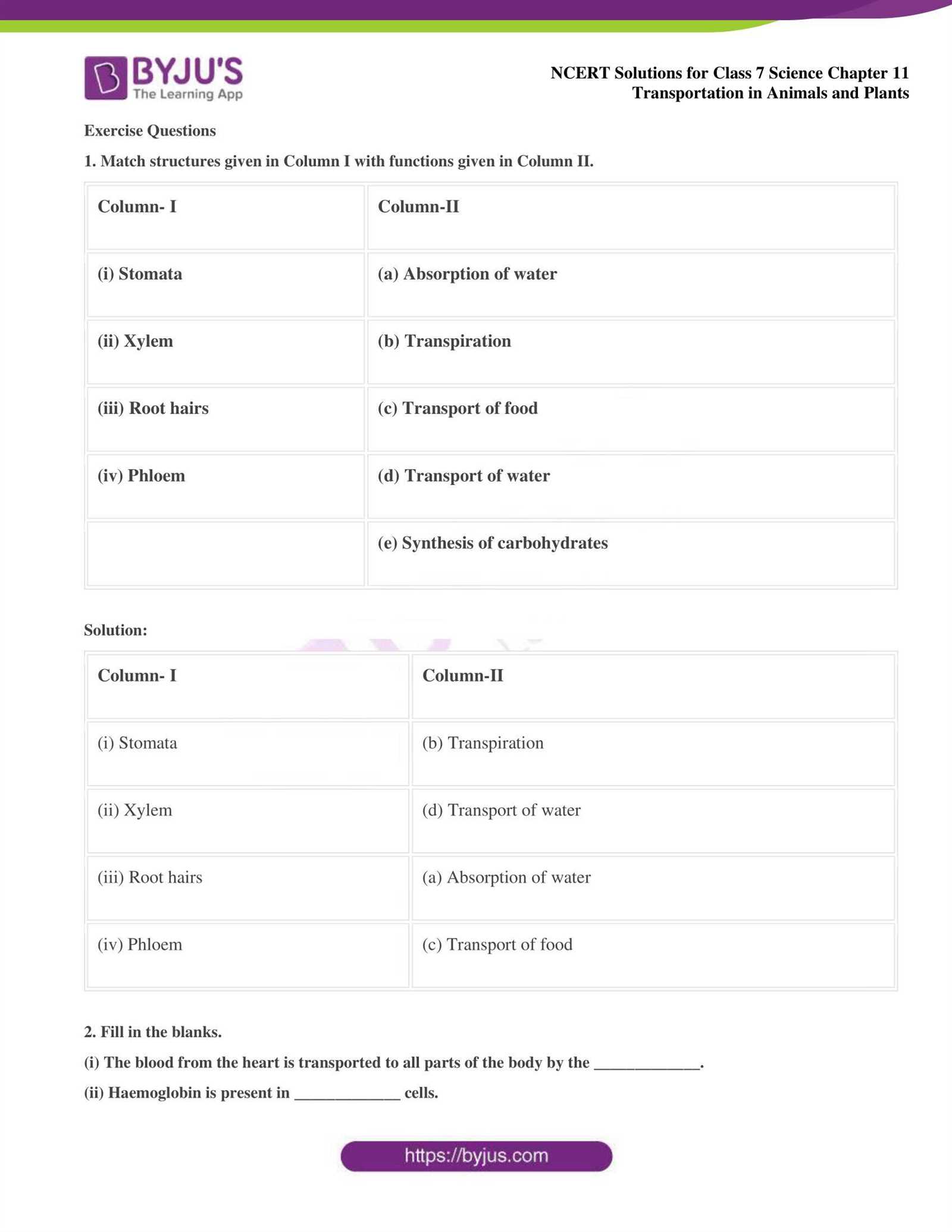 ap human geography chapter 11 test answers