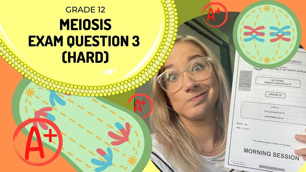 mitosis exam questions and answers