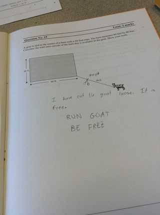 funny exam answers uk