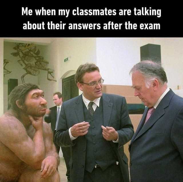 after exam meme