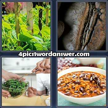 4 pics 1 word 65 answer