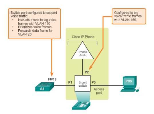 netacad cisco chapter 3 exam answers