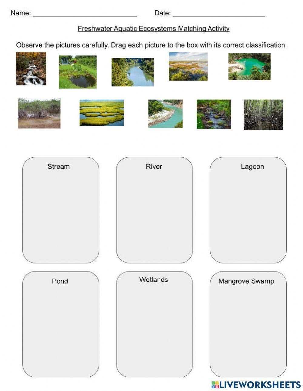 aquatic ecosystems and biomes student practice 3.3 answers