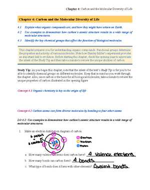 chapter 3 active reading guide carbon and the molecular diversity of life answers