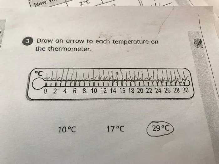 funny exam answers uk