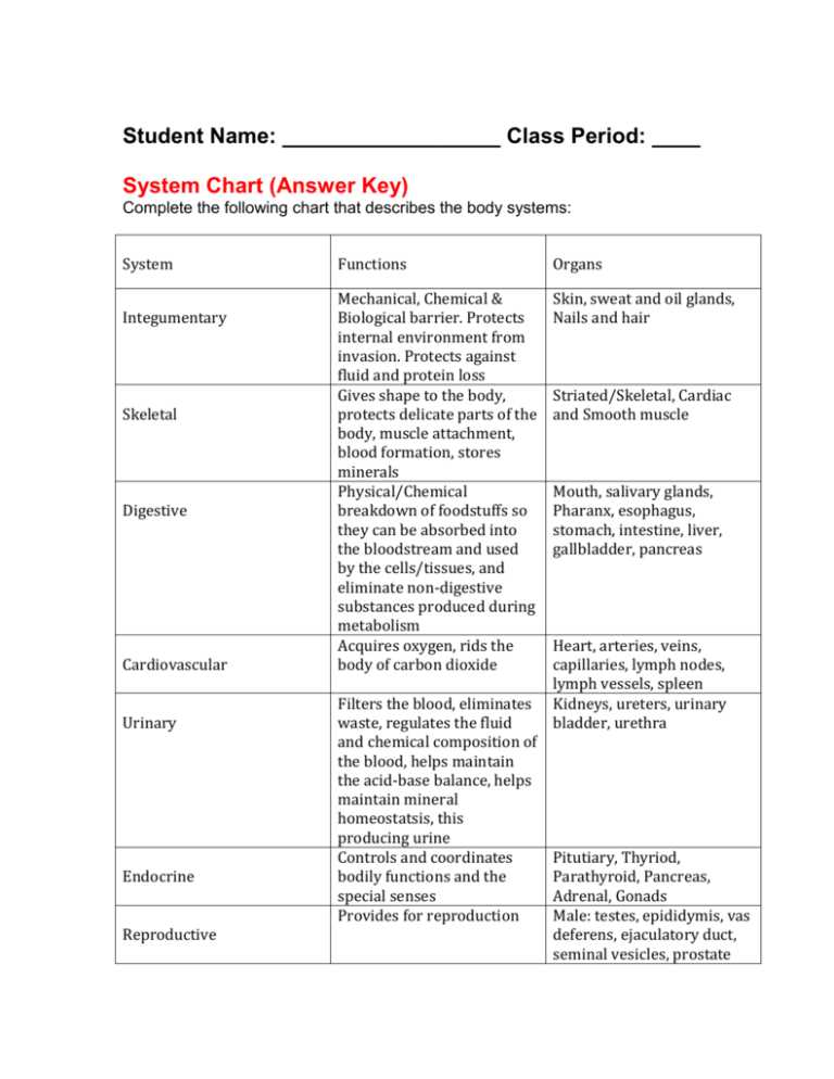 human body systems exam answer key