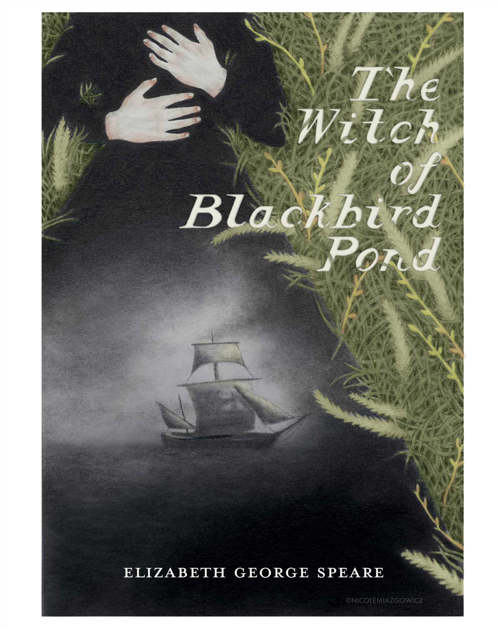 in the witch of blackbird pond answers