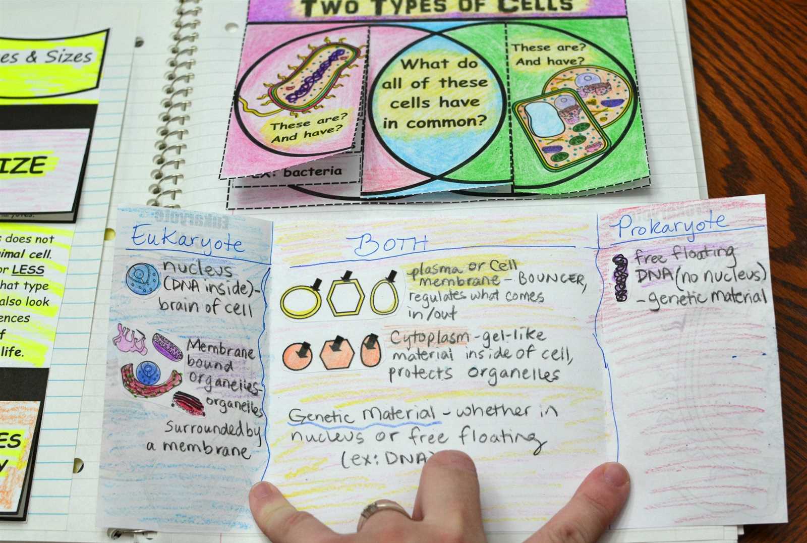 interactive science cells and heredity answer key