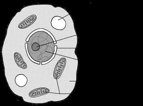 basic unit of life lab answers