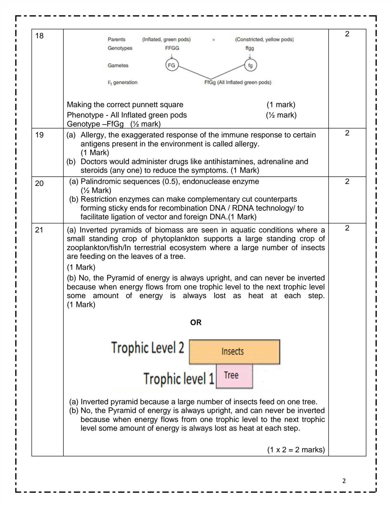 biology chapter 23 assessment answers