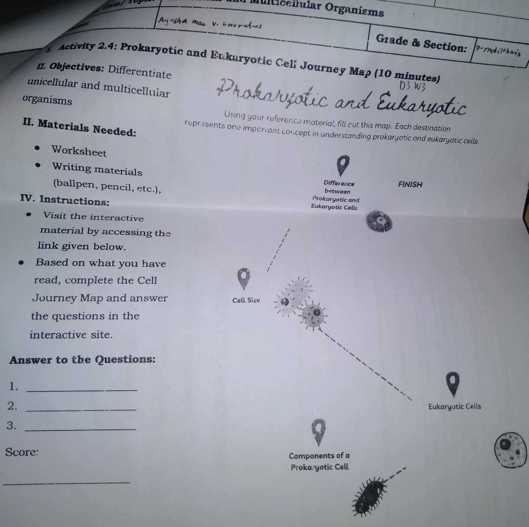 cell size worksheet answer key