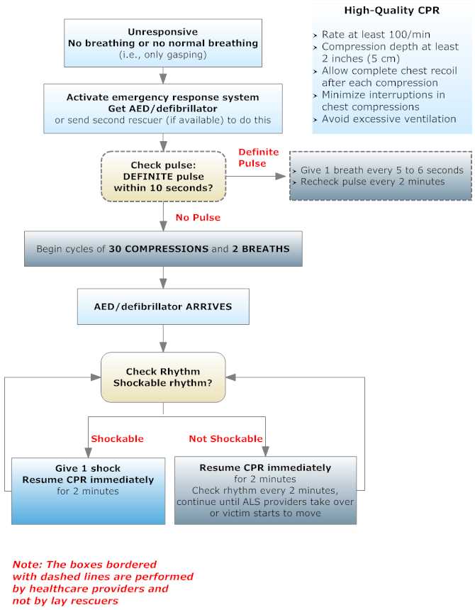 bls life support exam answers