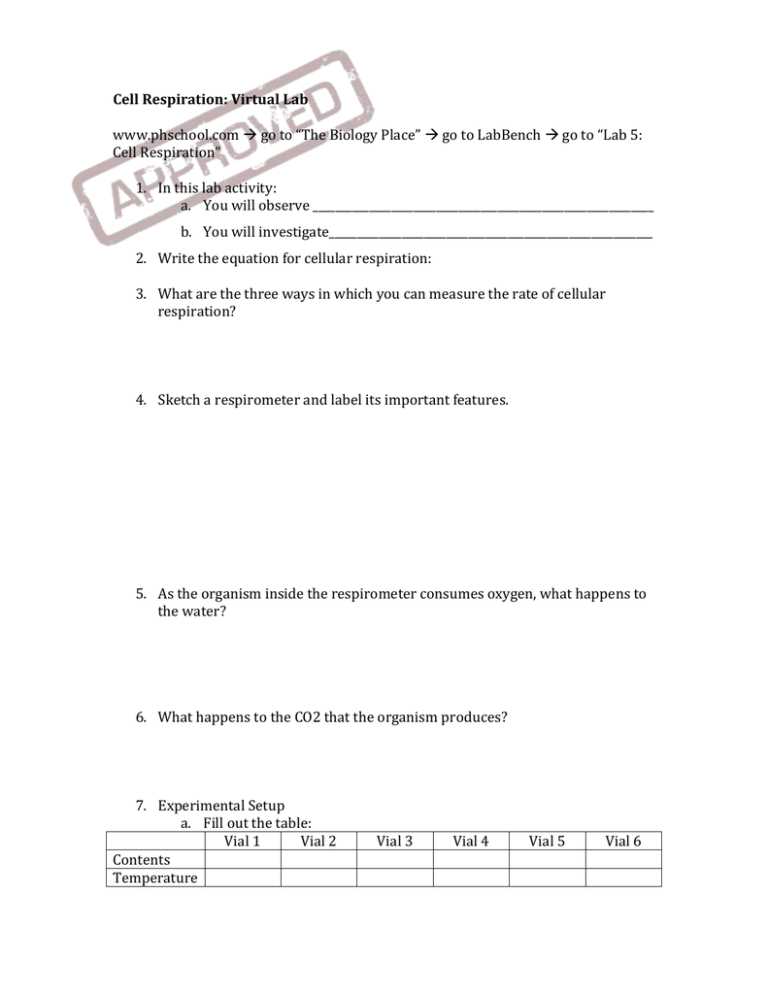 cellular respiration virtual lab answer key phschool