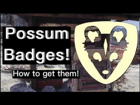 possum badge exam answers