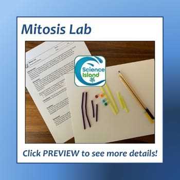 lab three mitosis and meiosis answer key