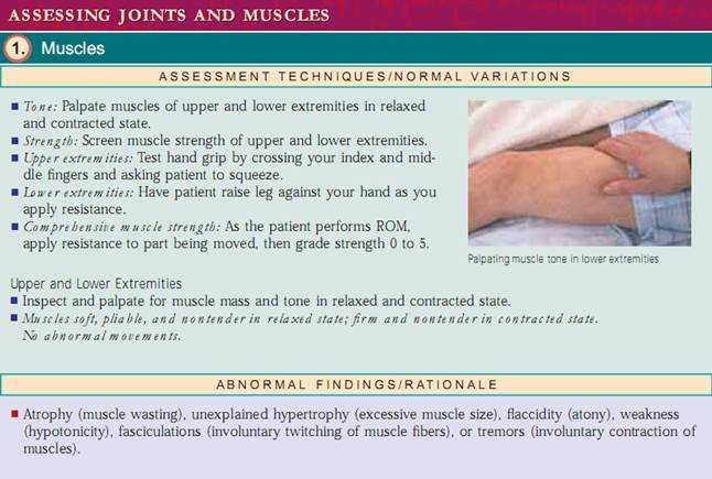 normal ear exam documentation