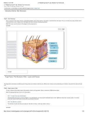 mastering a and p answers chapter 4