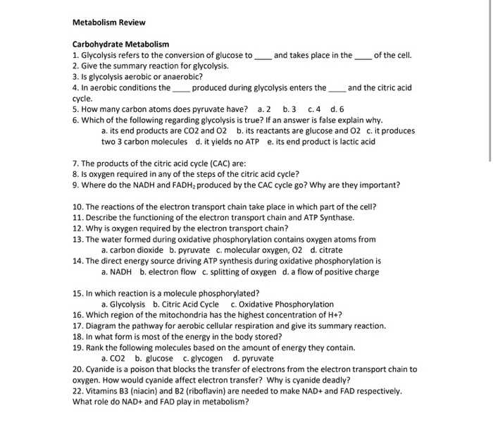 metabolism exam questions and answers