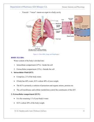 an introduction to anatomy and physiology chapter 1 answers