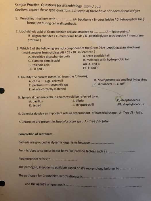 microbiology exam 3 questions