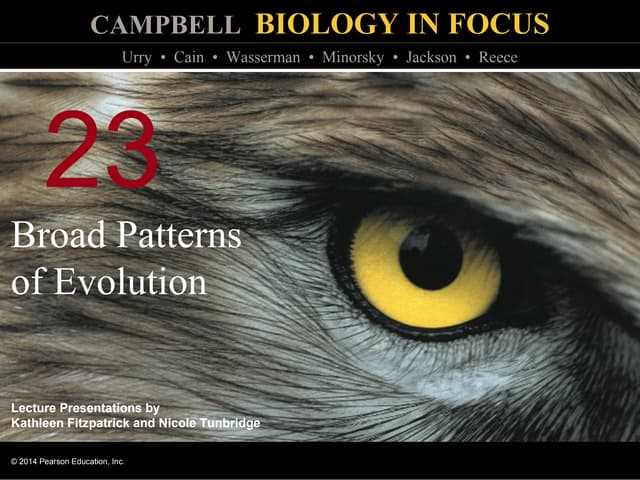 biology chapter 23 assessment answers