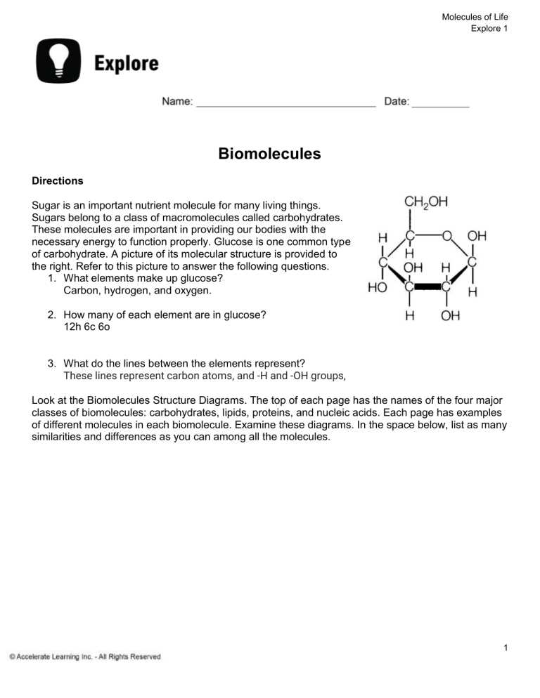 molecules of life worksheet answers