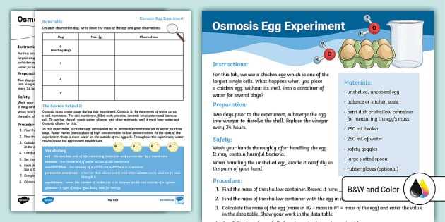 egg lab osmosis and diffusion answers