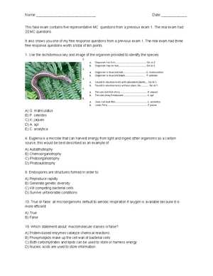 microbiology lab practical exam 2