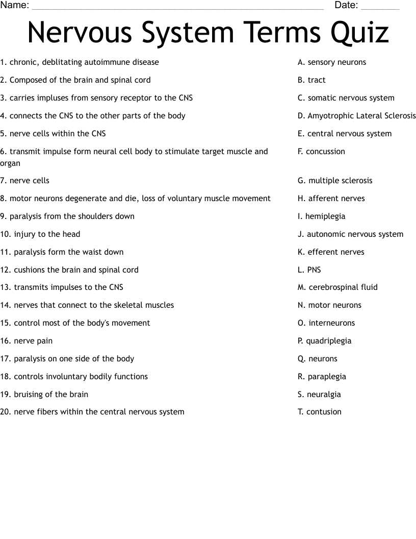 nervous system exam questions