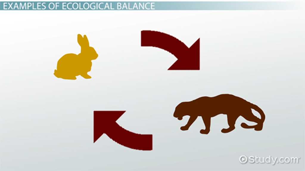 ecology unit review answers