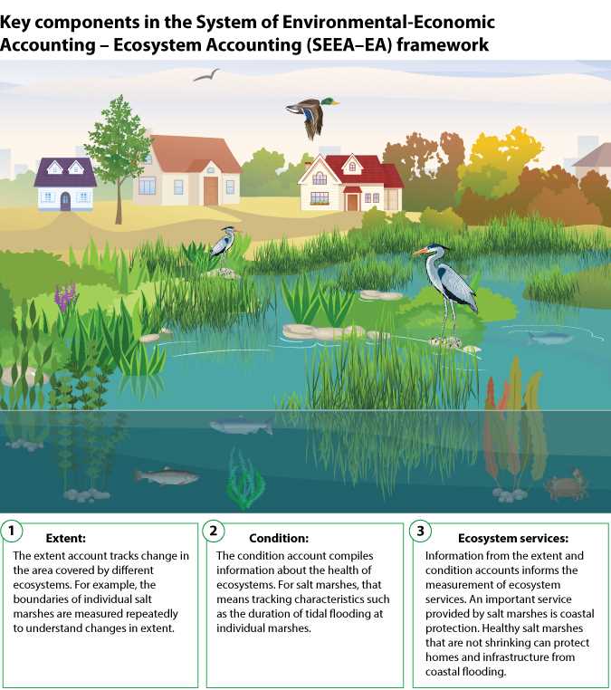 aquatic ecosystems and biomes student practice 3.3 answers