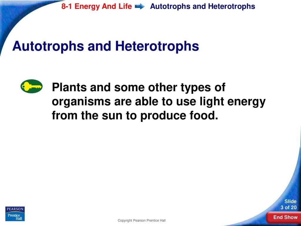 section 8 1 energy and life worksheet answer key