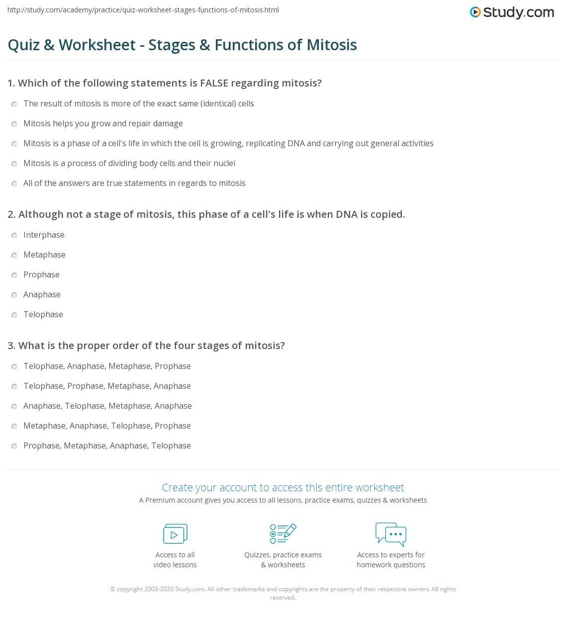 mitosis exam questions and answers